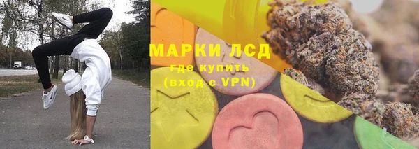 крисы Каменка