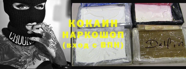 крисы Каменка